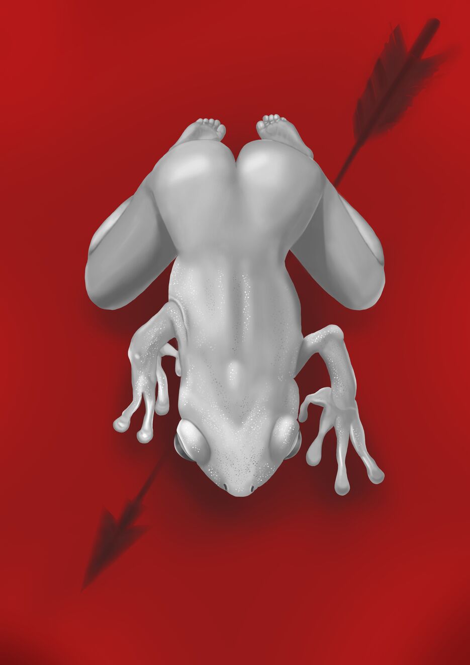 лягушка9.png