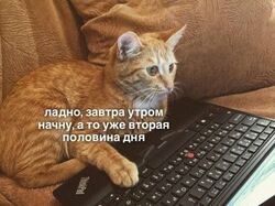 Сайт портфолио