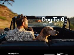 Dog To Go чат-бот для владельцев собак