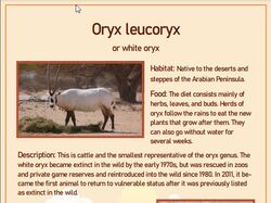Листовка "Oryx leucoryx"