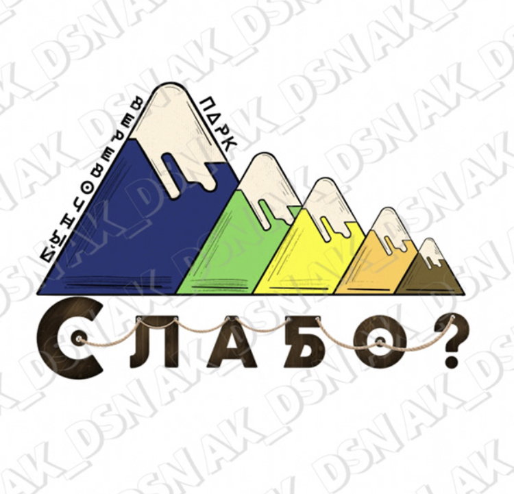 IMG_8241.PNG