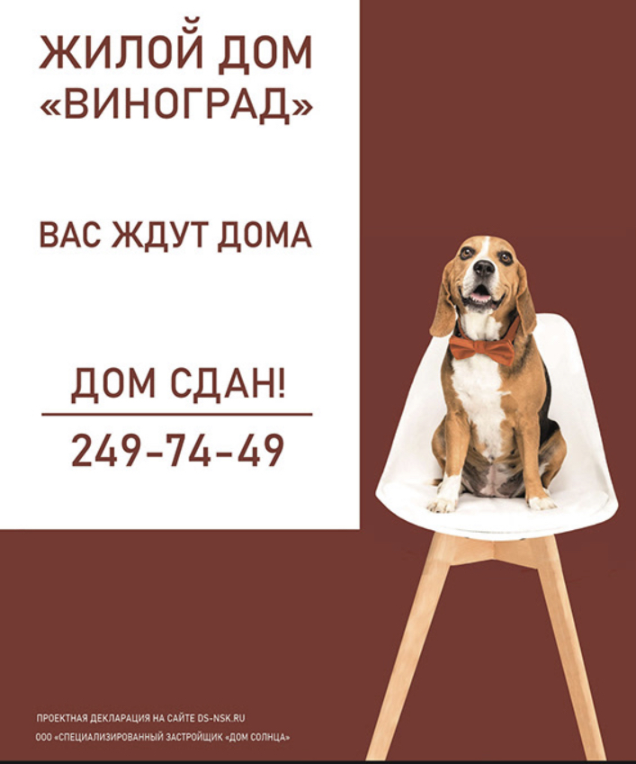 IMG_8249.PNG