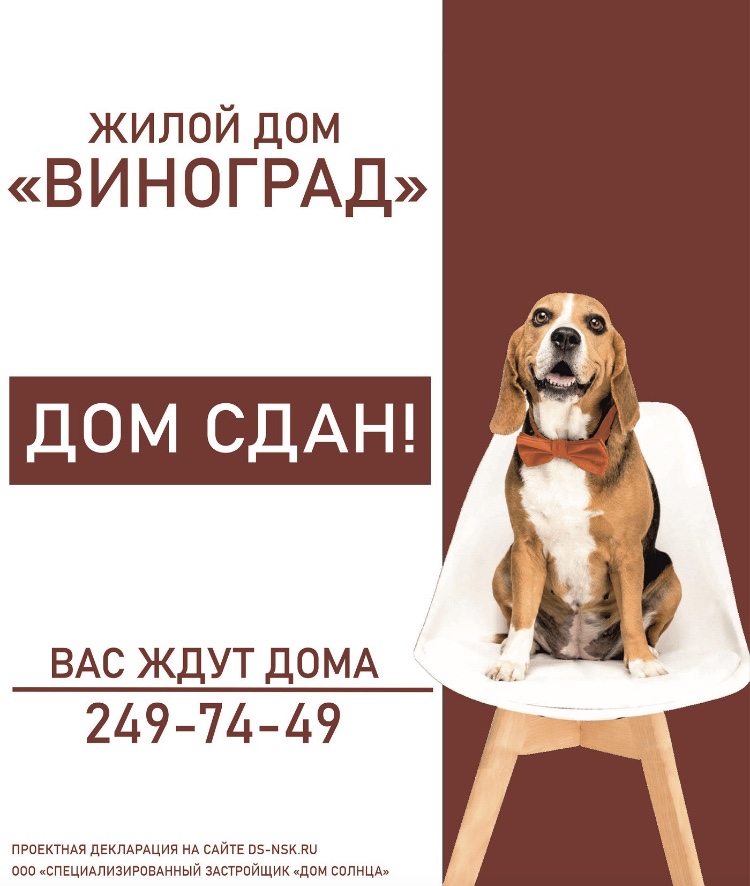 IMG_8250.PNG