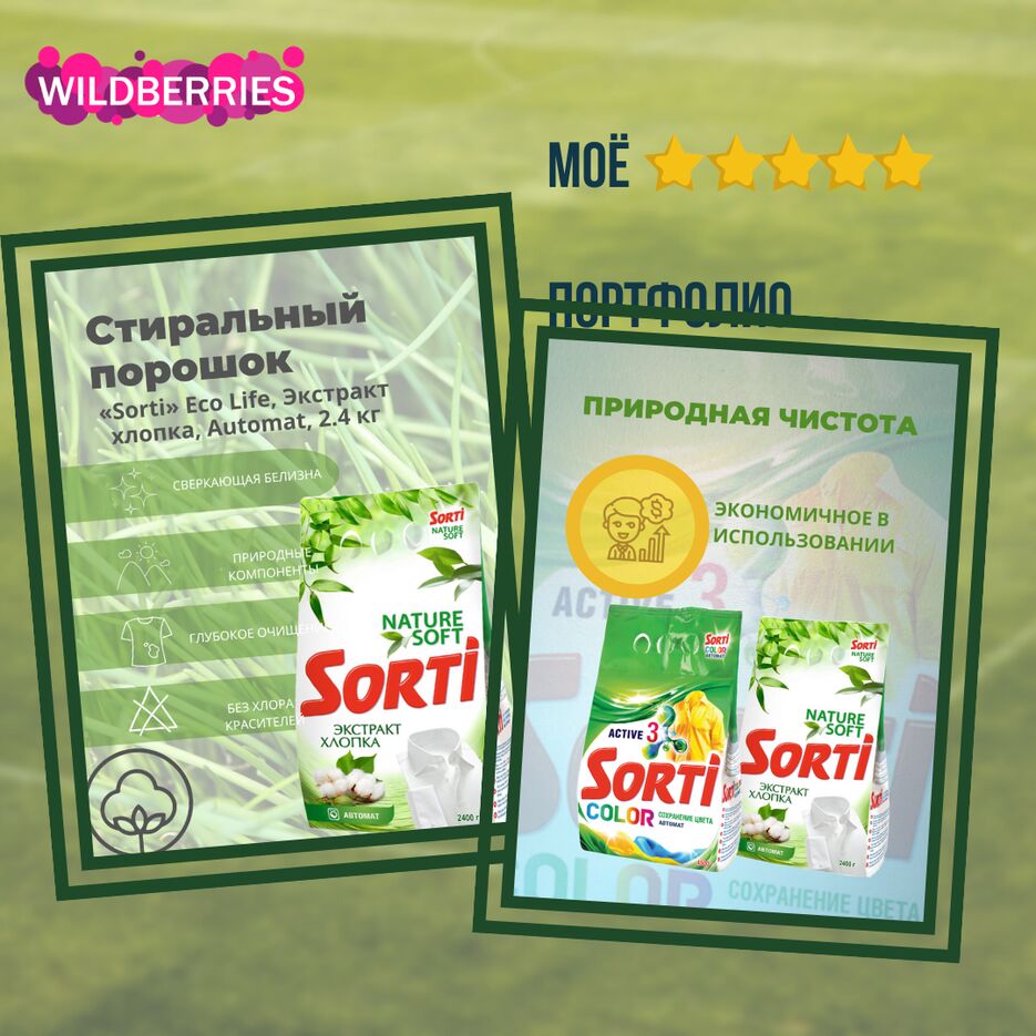 Моё портфолио (стир пор).png