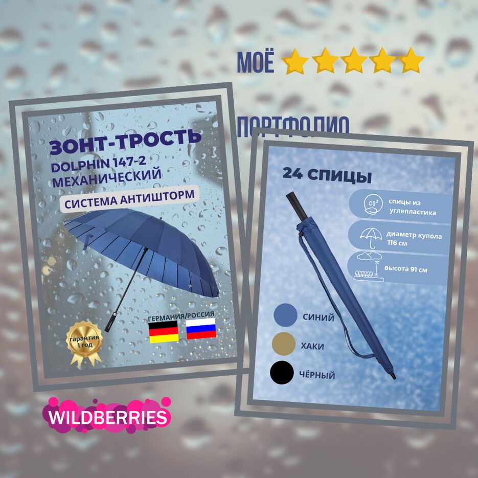 Моё портфолио (зонт).png