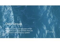 Defa Group - Redesign Online store b2b