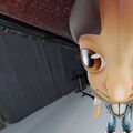 ddoliplw