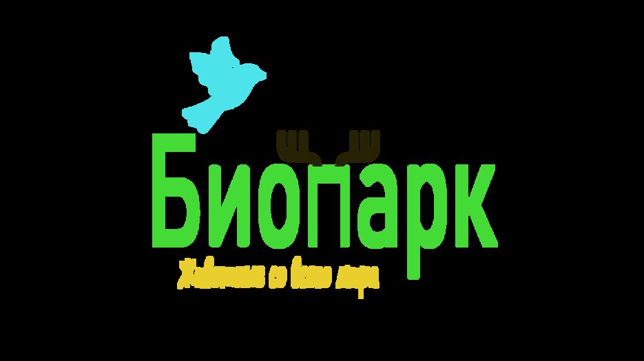 4Монтажная область 1-1.png