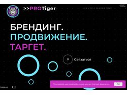 Сайт для диджитал агенства protiger.eu. 