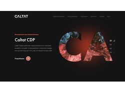 Caltat. Лендинг компании