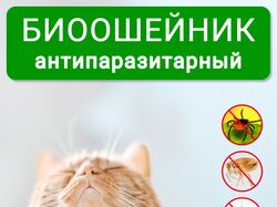 Дизайн карточки Wildberries