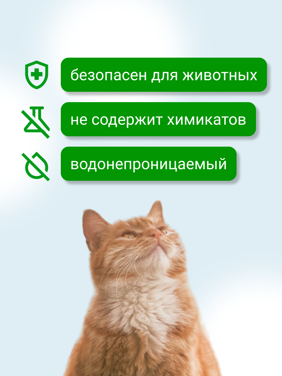 Карточка 1.png