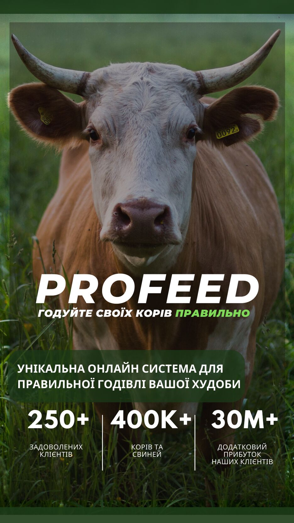 PROFEED КРЕАТИВ ІСТОРІЯ.png