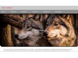 Responsive-Wolves-Website