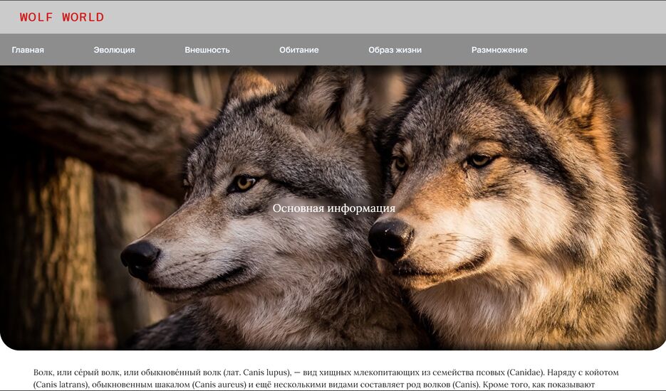 Screenshot (17).png