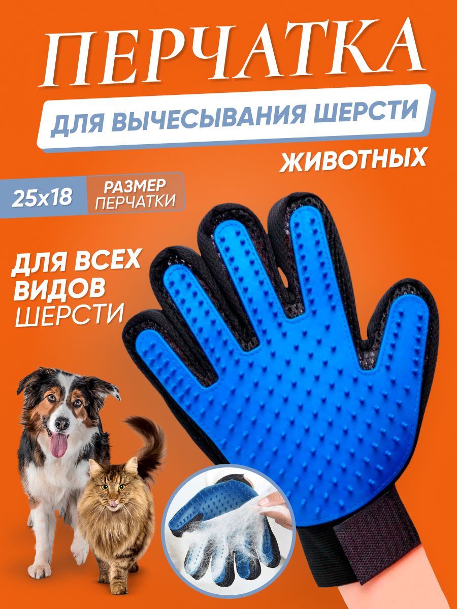 C49683B8-B446-44AF-838E-E1C4012A3DAF.jpeg