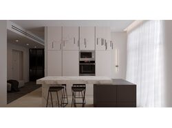 Living room and kitchen                                               