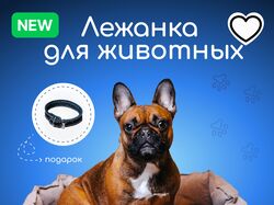 Инфографика ошейника для Wildberiies
