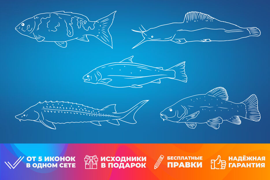 Карточка 4 рыбы.jpg