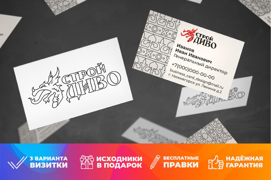 виз 1.jpg