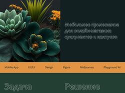 Онлайн-магазин суккулентов и кактусов