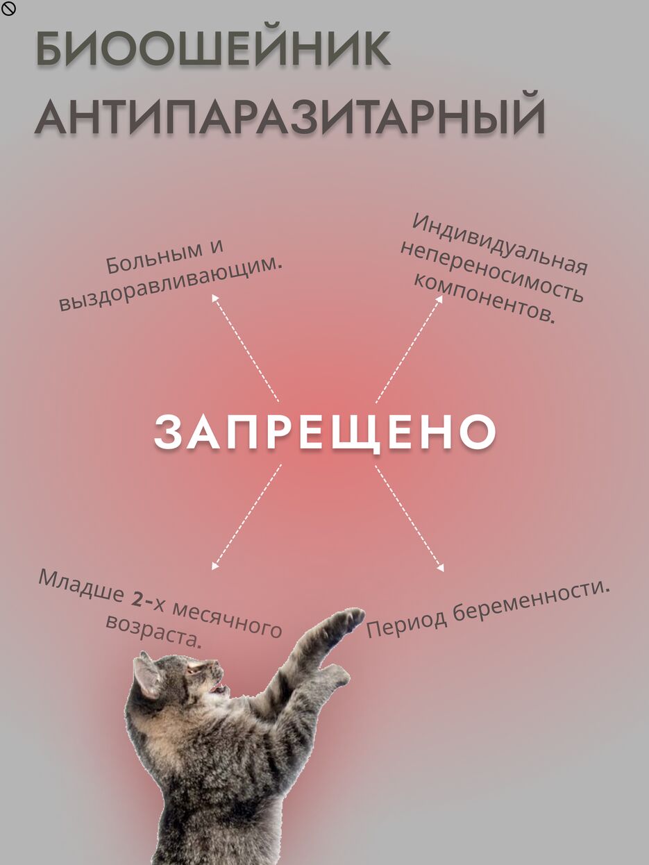Frame 4.png