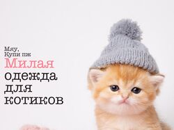 Котик