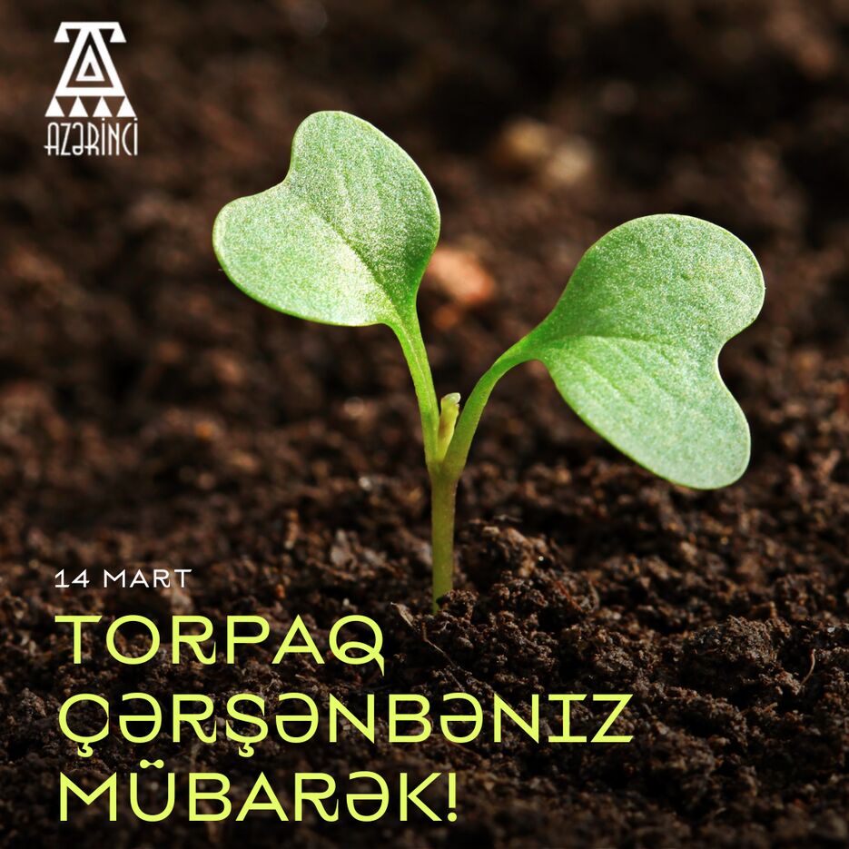 Brown Green Colorful Modern Minimal Photo 5 December World Soil Day Instagram Post.png
