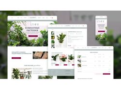 Интернет-магазин комнатных растений