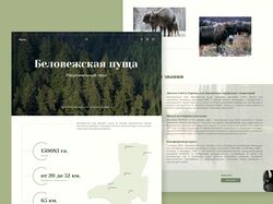 Лонгрид Беловежская пуща