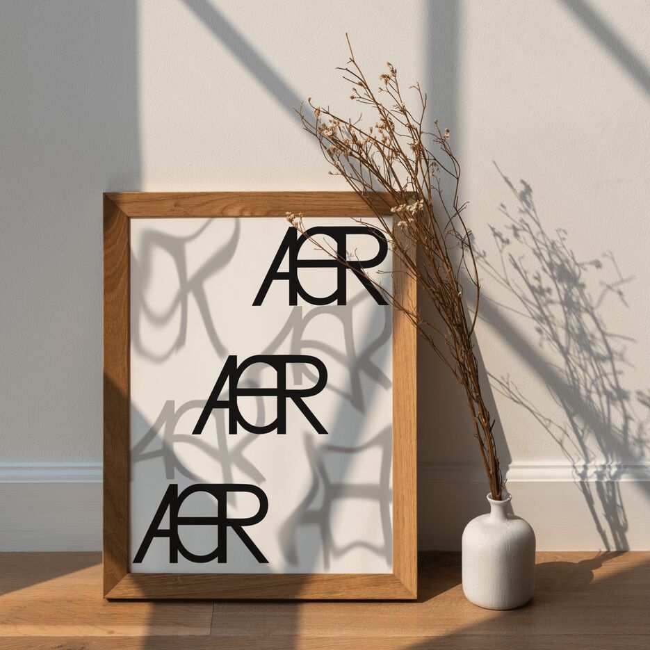 aer (1).png