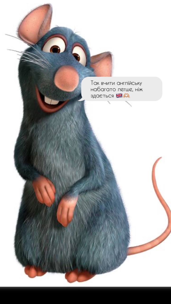 4BD8DAD7-25EE-4399-9E87-88D5F922C92E.jpeg
