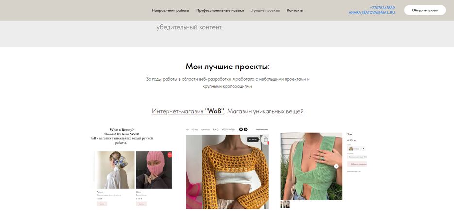 портфолио2.png