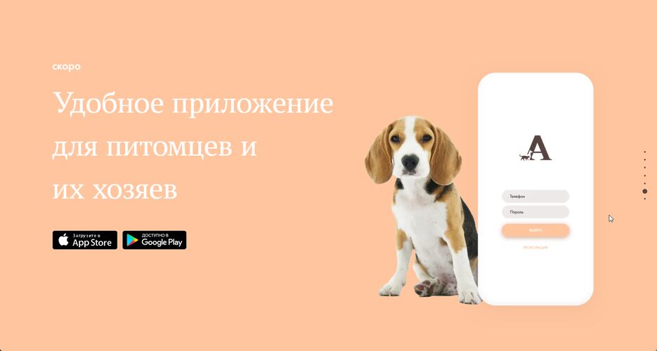 chrome_hzqlYWWnXk.png