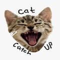 Cat_catchup