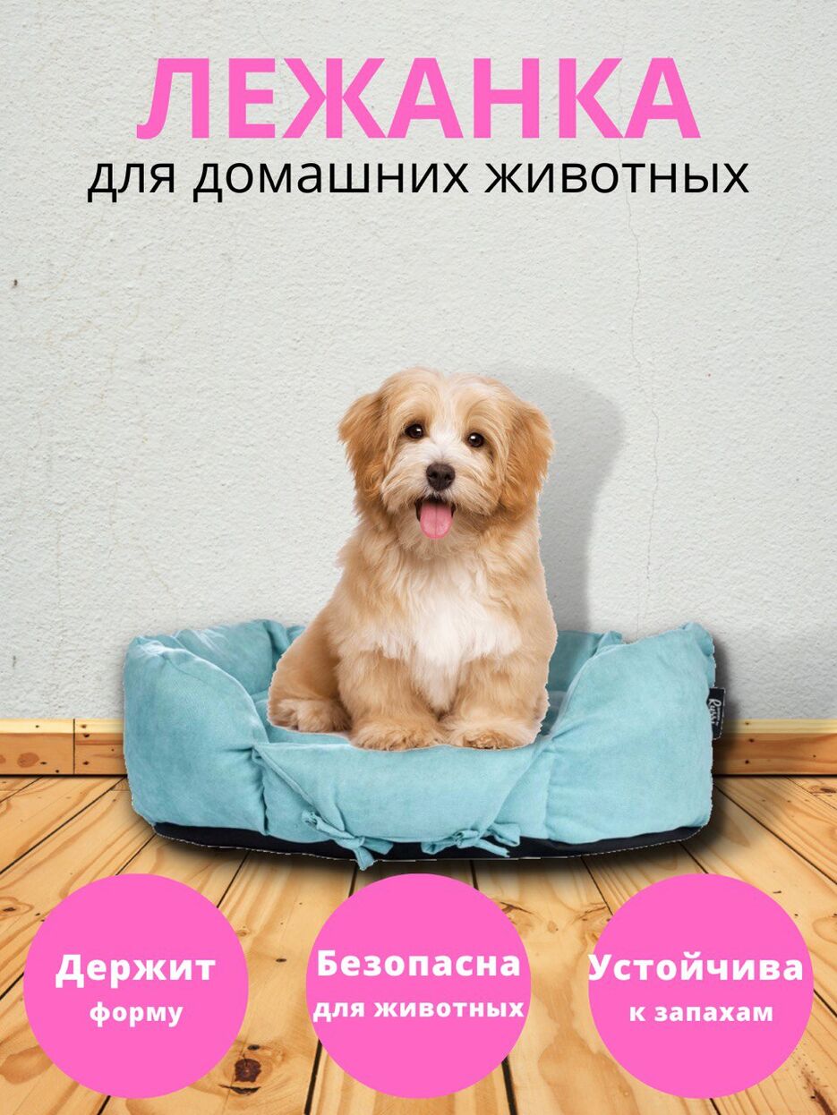 0487A2D2-C75B-4EF3-853D-FB232FB44104.jpeg