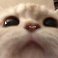 qwertyuu123