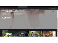 Netflix