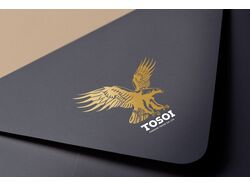 Tosoi 