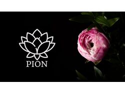 Лого квіткового магазину "Pion"