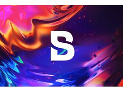 BS AGENCY