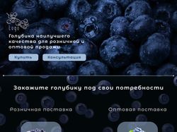 Мини лендинг - каталог товаров