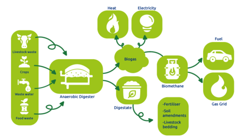 biogas-infographic-eng-750.png