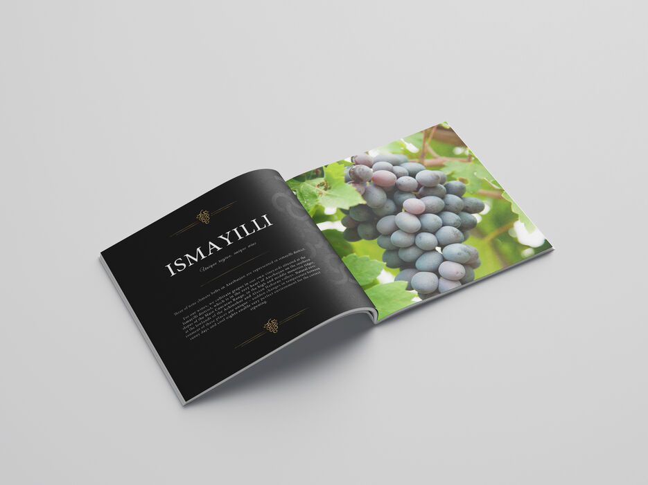 Free_Square_Brochure_Mockup_01.jpg