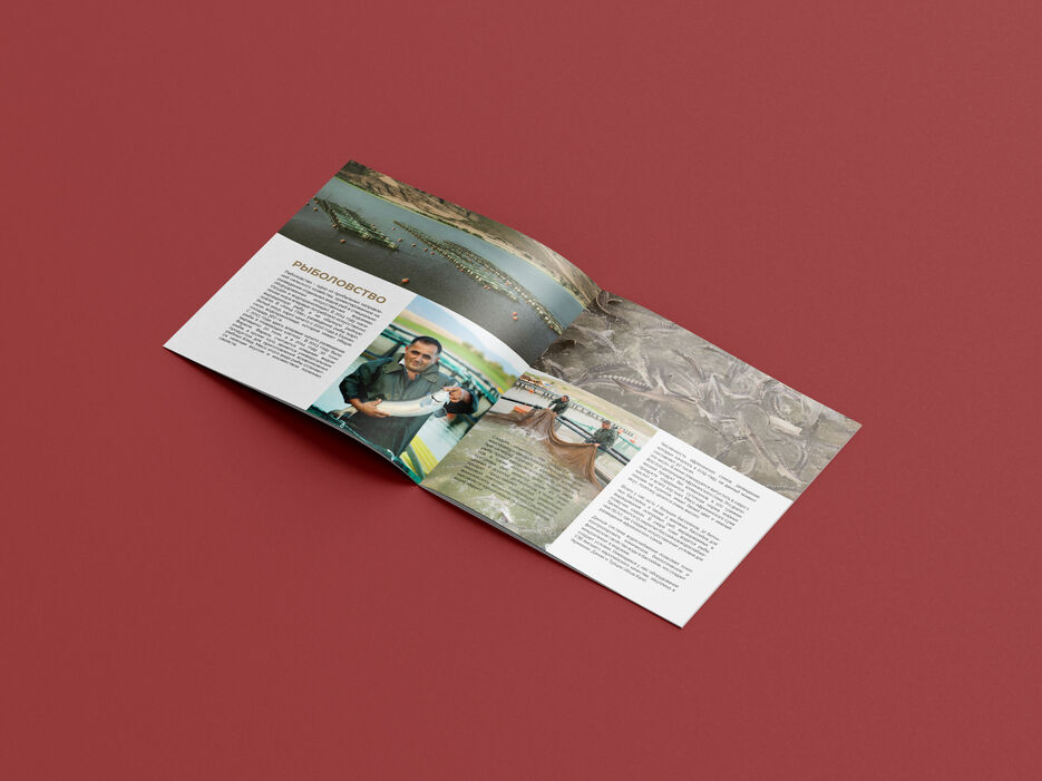 Free_Square_Brochure_Mockup_6.jpg
