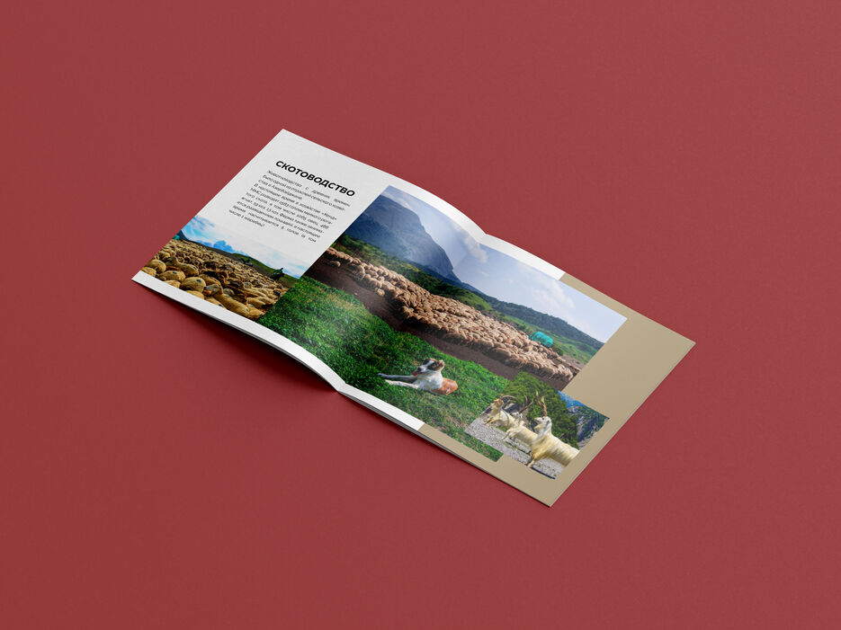 Free_Square_Brochure_Mockup_10.jpg