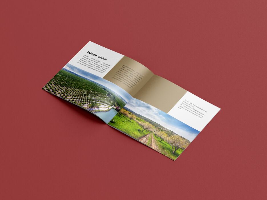 Free_Square_Brochure_Mockup_611.jpg