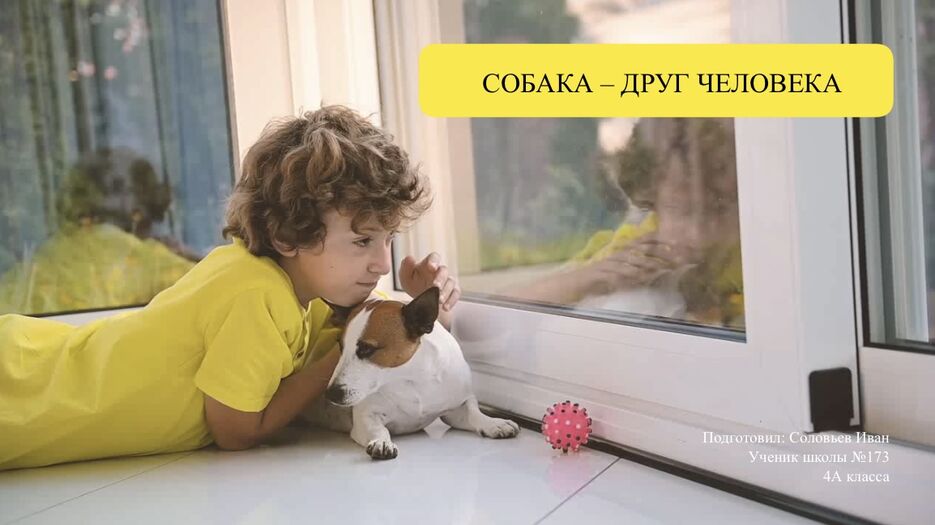 08D856D9-1F15-4262-A85B-ABC590EC706F.jpeg