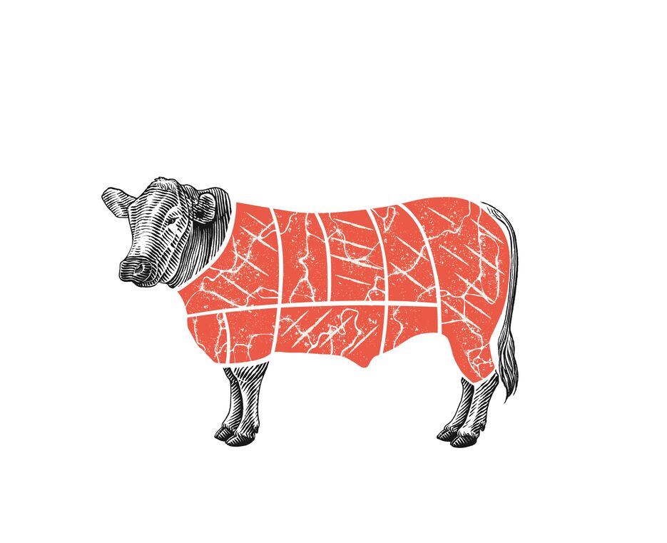 bull-01.png