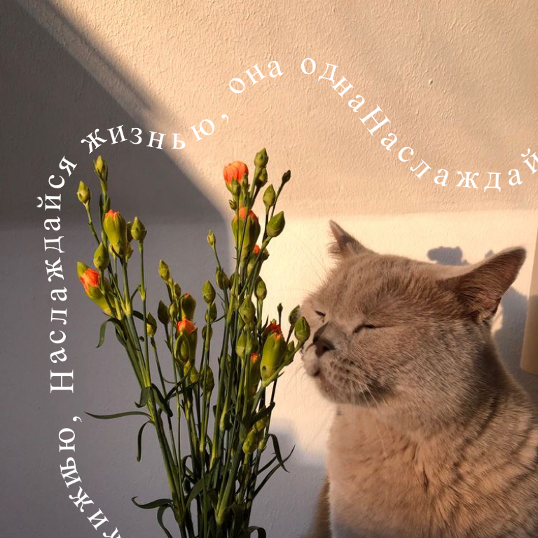44ADBE00-E772-434D-9F72-1A670E9FEBA5.jpeg
